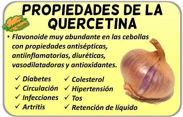 Beneficios de la quercetina: descubre sus usos y fuentes