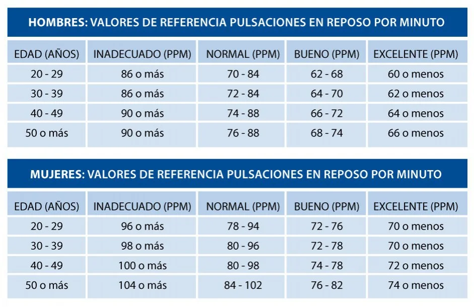 ¿cuál Es El Ritmo Cardíaco Ideal Según La Edademk 2444