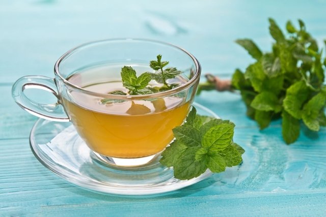 Descubre los beneficios y propiedades medicinales del té de menta
