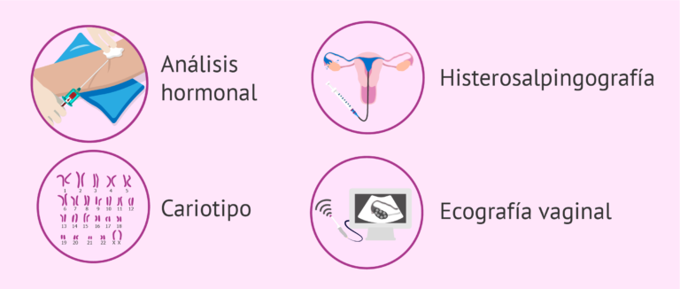 Guía completa: Test de fertilidad, tipos y procedimiento