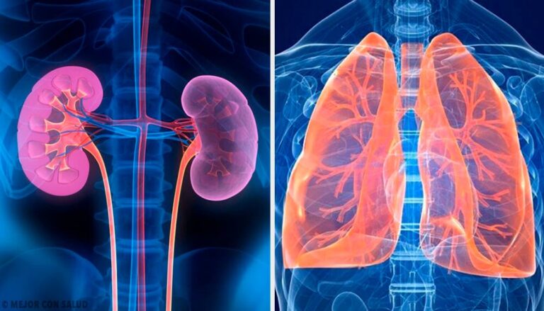 ¿Qué es la alcalosis respiratoria y cómo afecta a nuestro cuerpo?