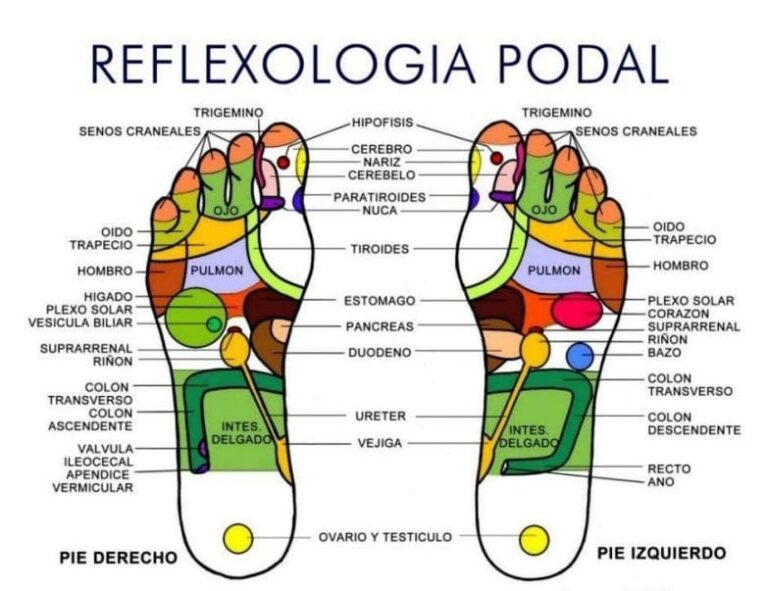 Reflexología Podal: una técnica terapéutica para equilibrar tu energía